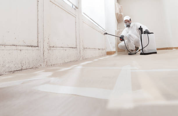 24/7 Emergency Mold Removal experts in Warminster, PA